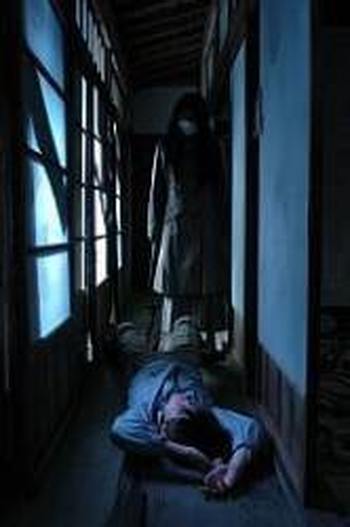 A Slit Mouthed Woman (2007)