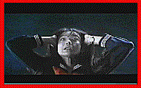 ekoazarakvideo
