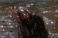 Creepshow 2