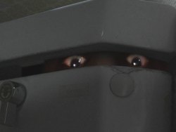 Cursed