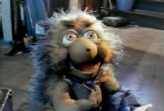 El Delirante Mundo de los Feebles