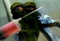 El Delirante Mundo de los Feebles