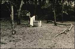 The Ring (El circulo)