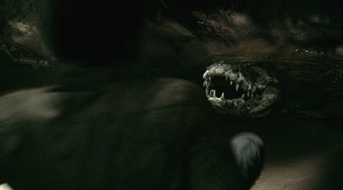 El Territorio de la Bestia