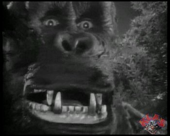 King Kong
