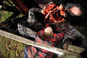 Survival of the dead