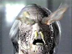 Phantasm