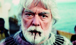 Reykjavik Whale Watching Massacre