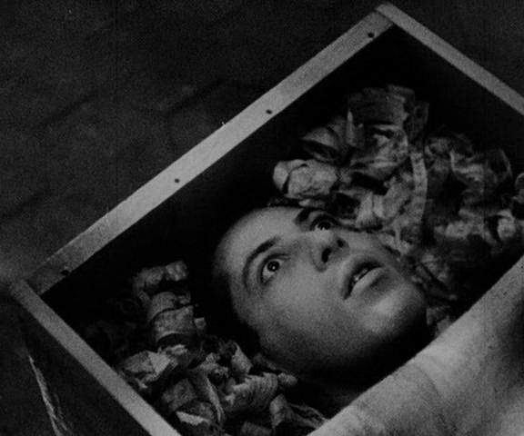 Vampyr