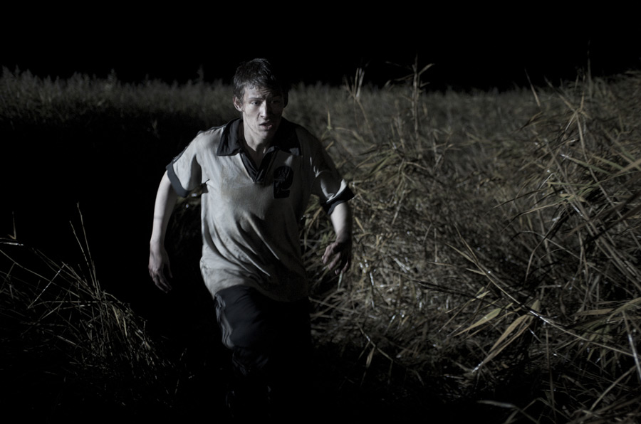 The Reeds
