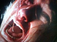 Snarveien