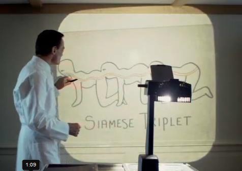 The Human Centipede