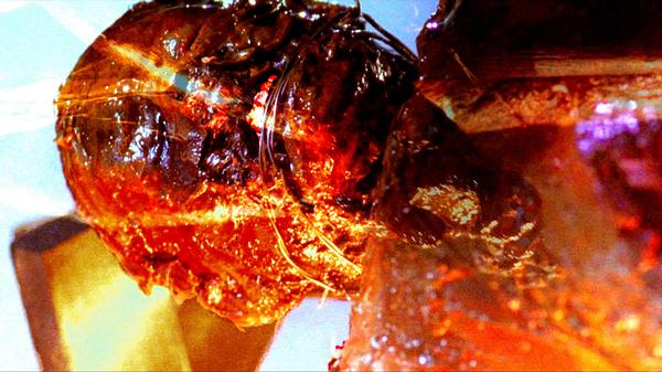 Bad Blood: The hunger