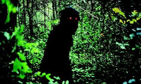 Uncle Boonmee who can recall his past lives