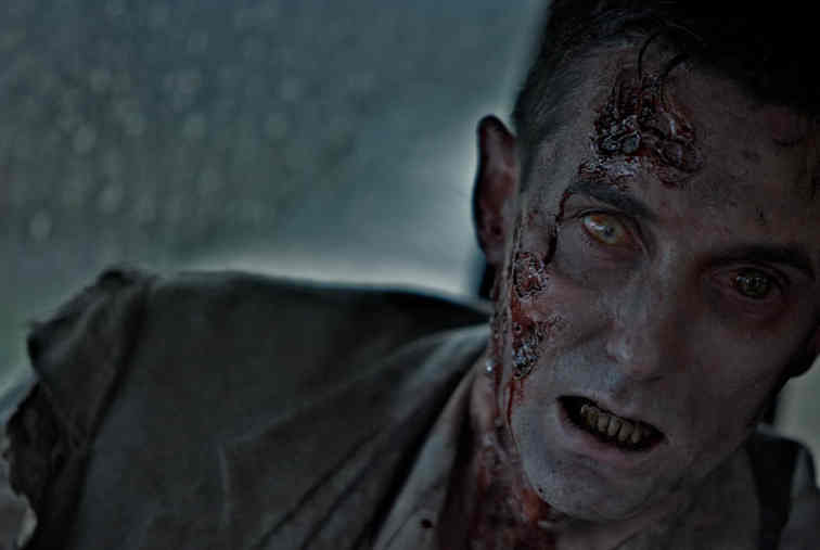 The Walking dead