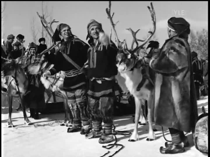 valkoinen peura