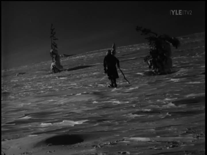 valkoinen peura