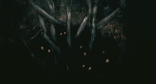 Don't be afraid of the dark