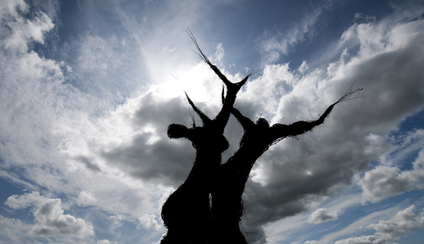 The Wicker Tree (2010)
