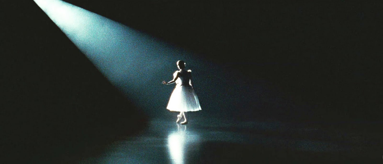 El cisne negro