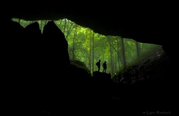 Into the darkness