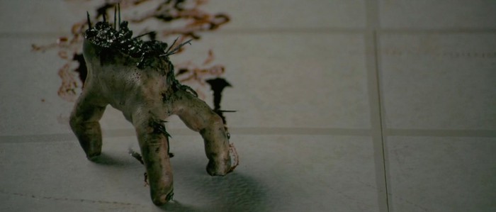 Splinter