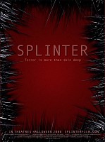 Splinter
