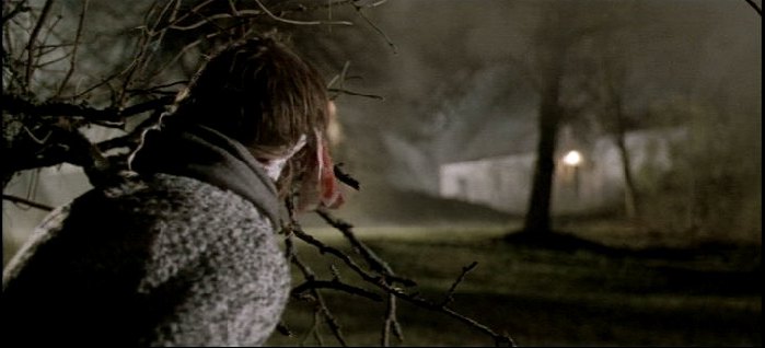 Shadow (2009)