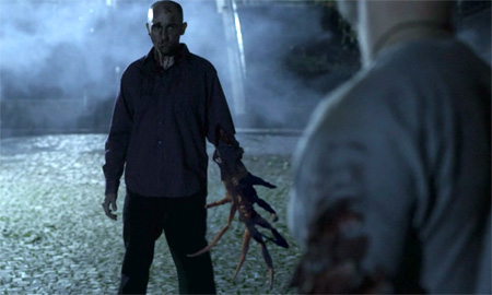 dead shadows