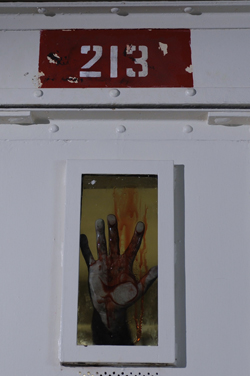 Celda 213