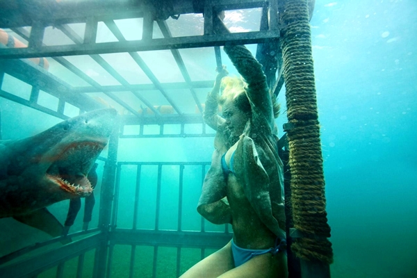 Shark Night 3D
