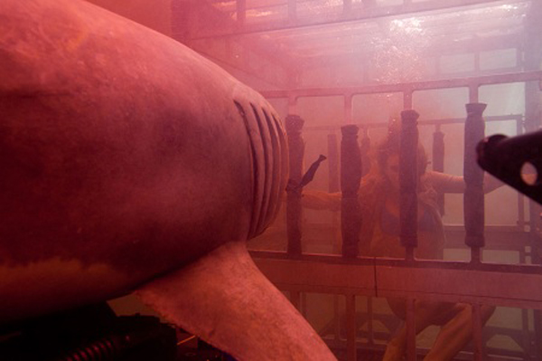 «Shark Night 3D» mordiscos en 3 dimensiones