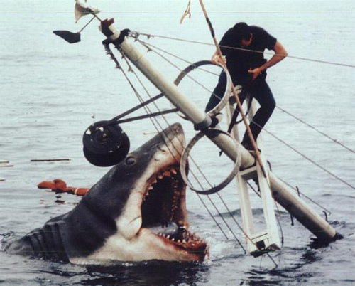 Tiburón
