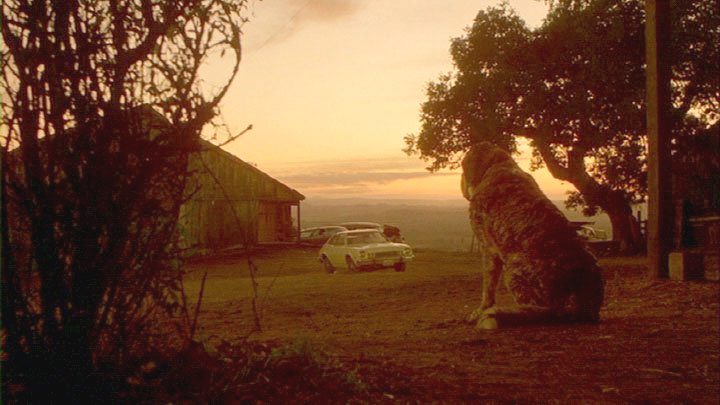 Cujo, El Perro Asesino [1983]