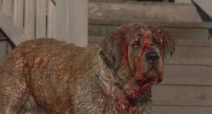 Cujo