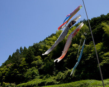 Hanezu 