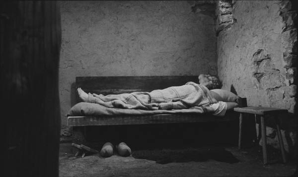 The Turin Horse