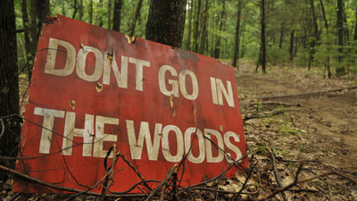 Don't go in the woods