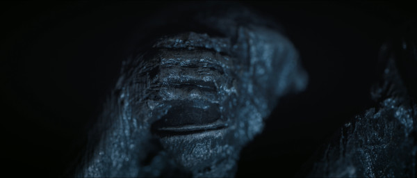 3wm Frame 1