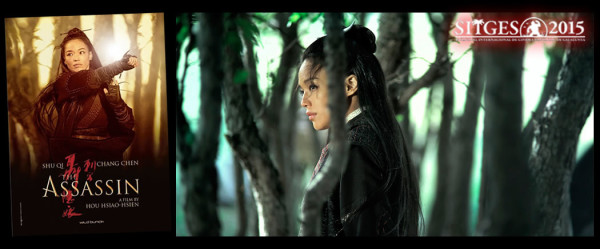 the assassin