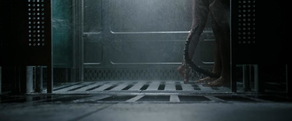 Alien_Covenant-603535342-large