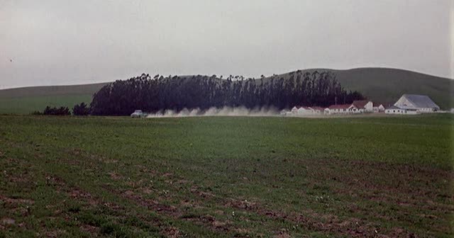 Los Pajaros