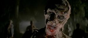 Nueva York bajo el terror de los zombies