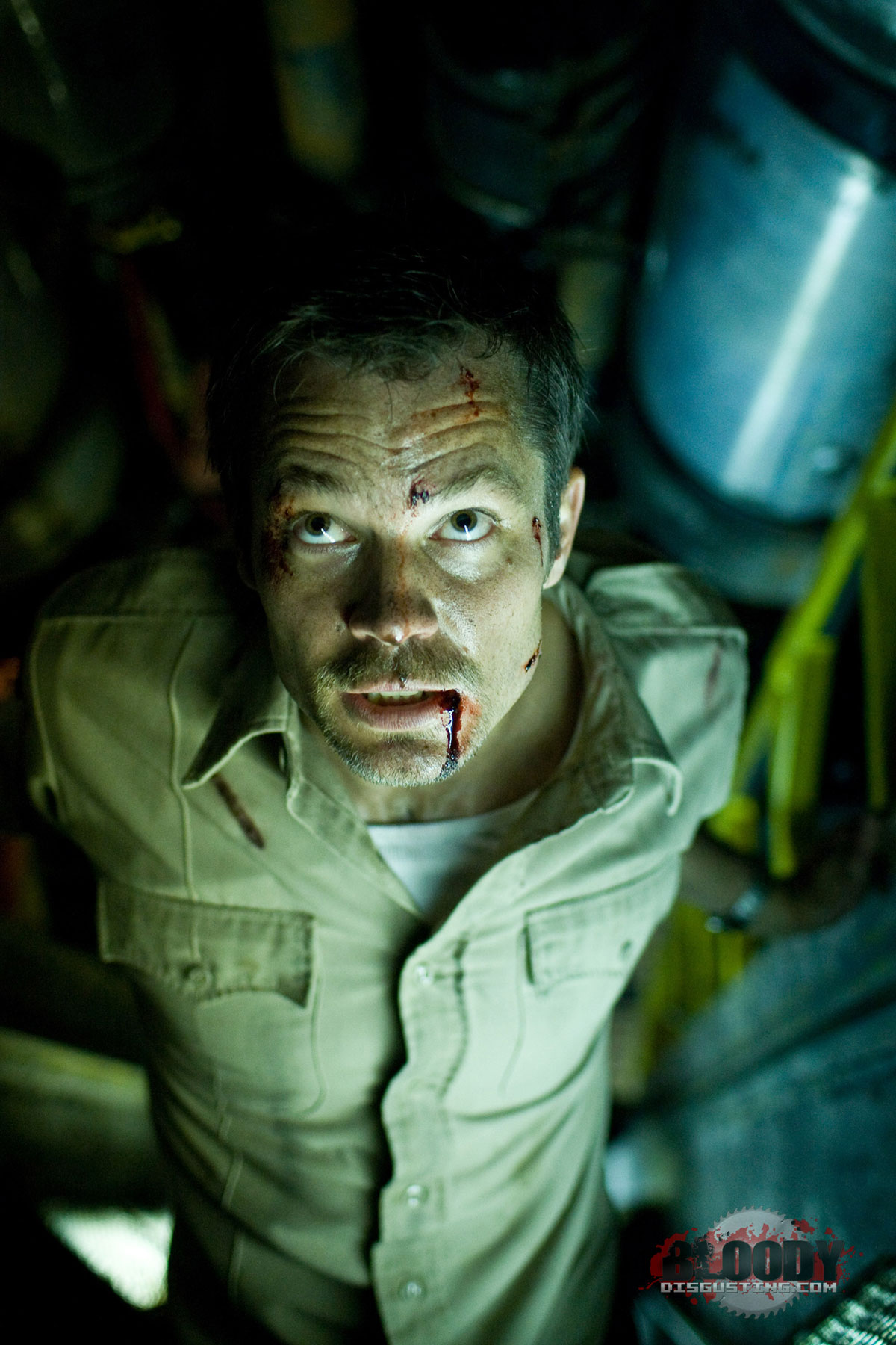 The Crazies  (2009)