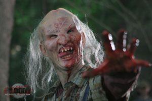 Wrong Turn 3