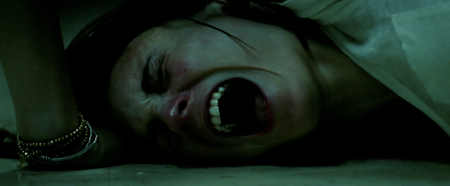 Pesadilla en Elm street (2010)
