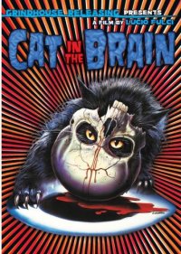 A cat in the brain