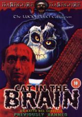 A cat in the brain
