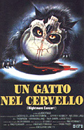 A cat in the brain