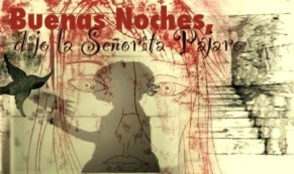 Crítica. «Buenas Noches, dijo la Señorita Pájaro» (César del Álamo, 2012)